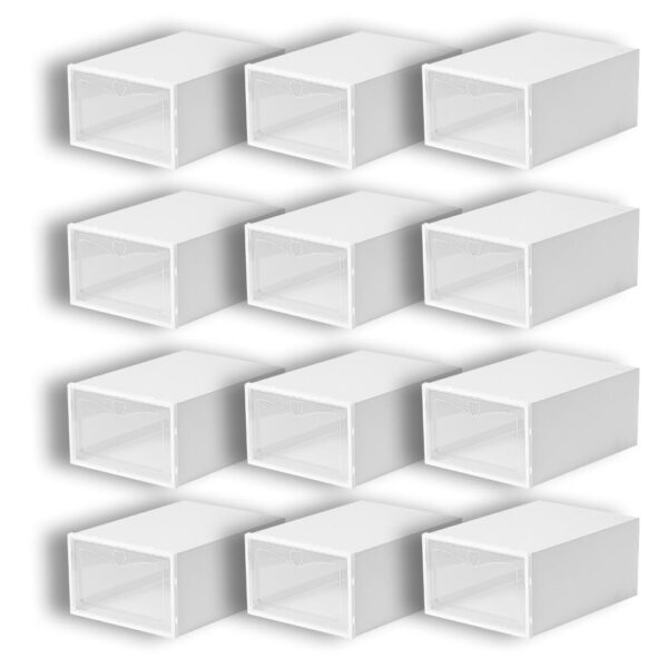 standard_resolution-2630.jpg