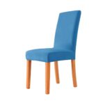 standard_resolution-2950.jpg