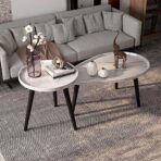 standard_resolution-2977.jpg