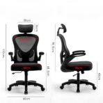 standard_resolution-704.jpg