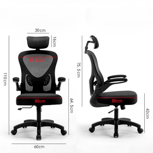 standard_resolution-704.jpg