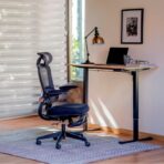 standard_resolution-119.jpg